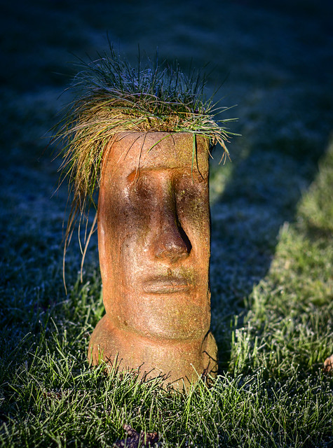 Z62_3604: Easter Island pot with grass hair