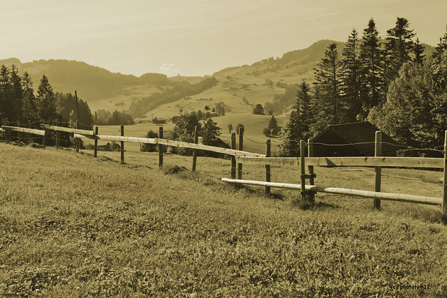 Zaun im Appenzellerland schwarz-weiss eingefärbt