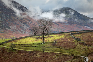 Path to Crummock Water | by www.andrewswalks.co.uk