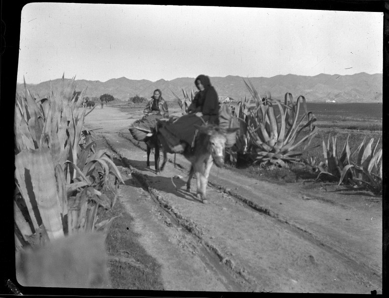 Mujeres en burro en un camino en Águilas. . Fotografía de Gustavo Gillman Bovet © Archivo General de la Región de Murcia, signatura FOT_NEG-102_016