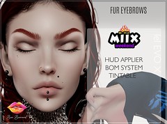 MiixW_BB_Store_fur Eyebrows - Lelutka Applier