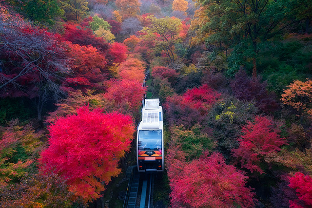 Autumn train