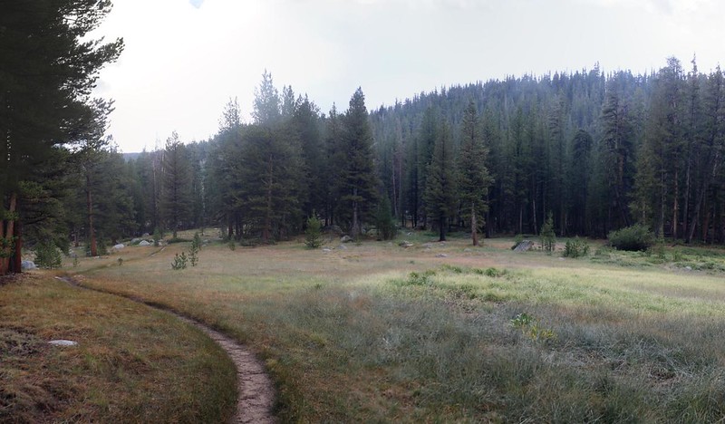 One of several meadows down on the valley floor next to Rock Creek, heading south on the PCT