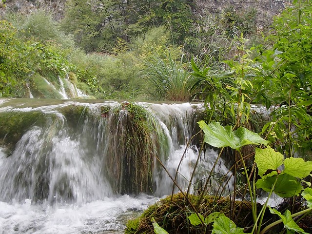 Plitvice Lakes - lush flowing water