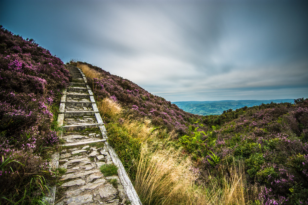 Stairs through the heather