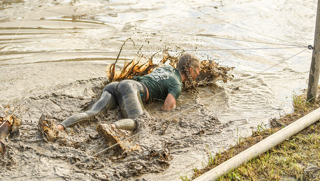Crawling through the mud.