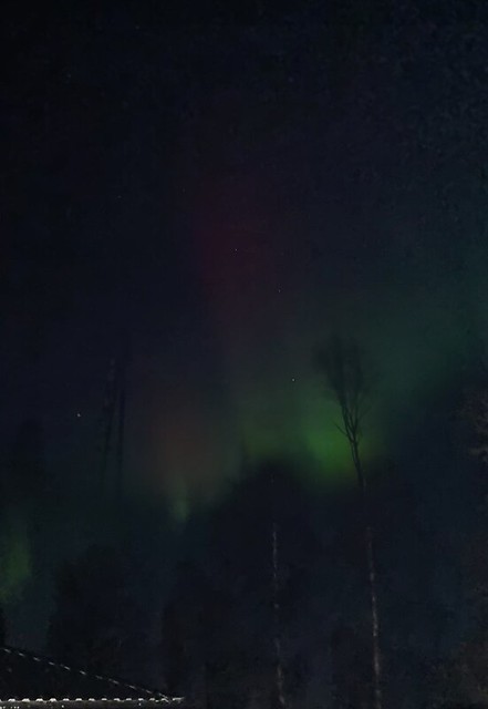 (RL) Northern Lights last night 15 jan 2022.