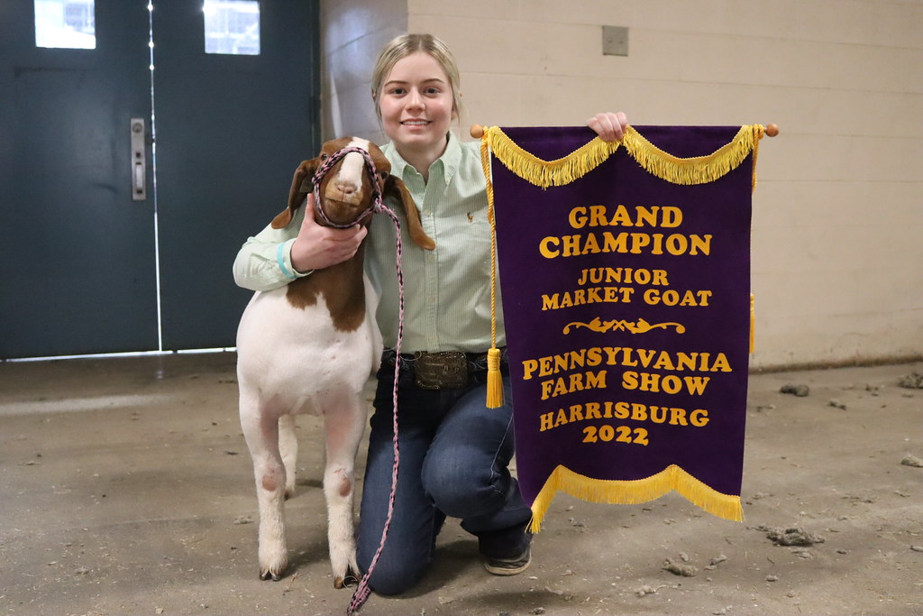 Alexa Miles with her Grand Champion Market Goat | Alexa Mile… | Flickr