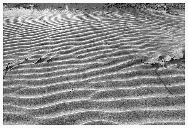 2022 in B&W: Wind on Sand.