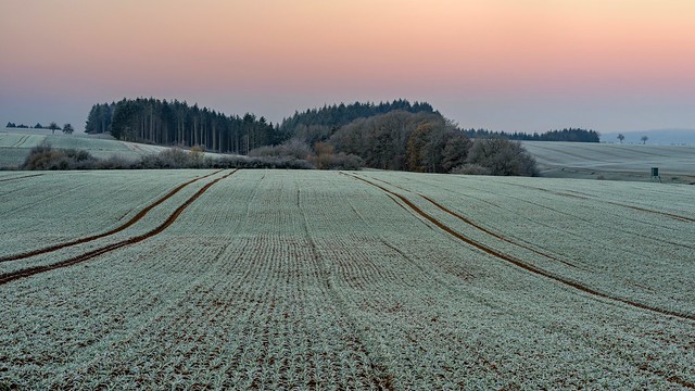 *winter field*