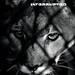 Cover of my latest photo book featuring animals in captivity