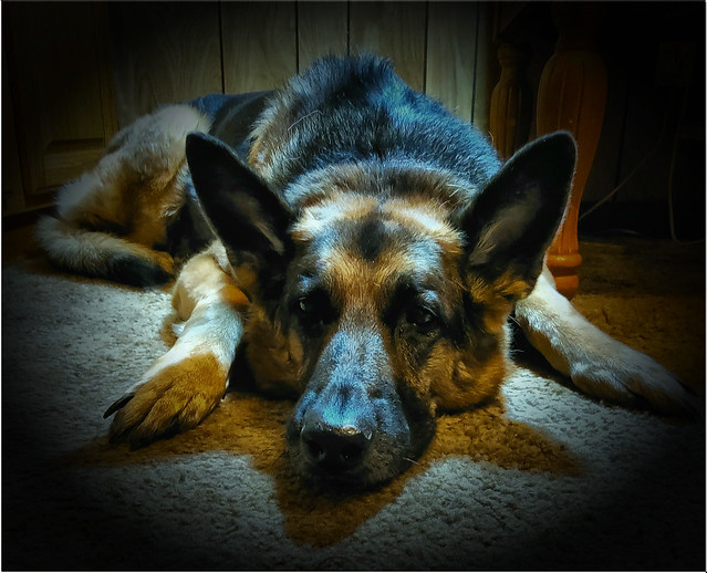 Shadow: Waiting on the Storm