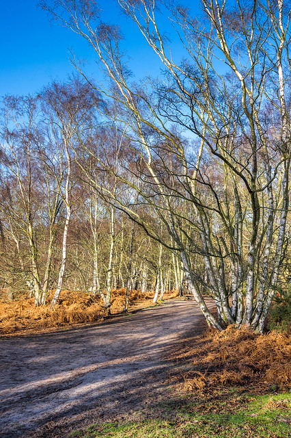Birches, Ampthill, Bedfordshire