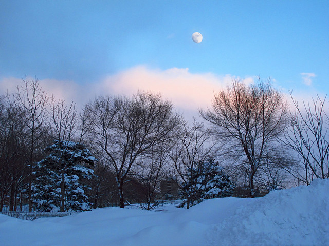 Urban Winter Scenery with Moon