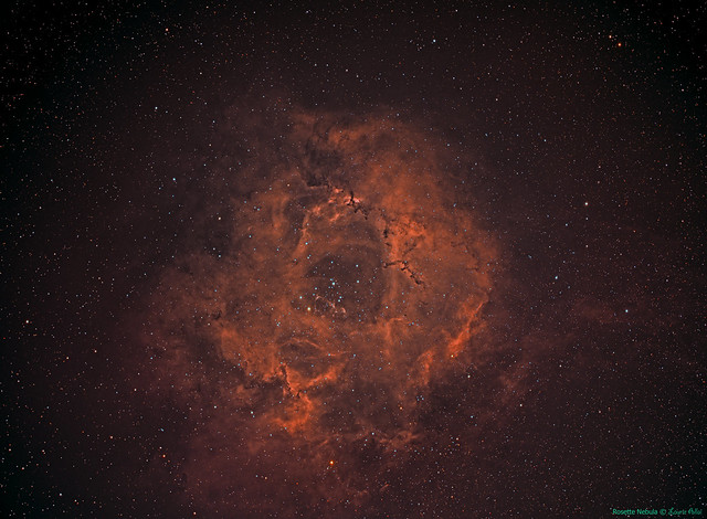 Rosette Nebula 4