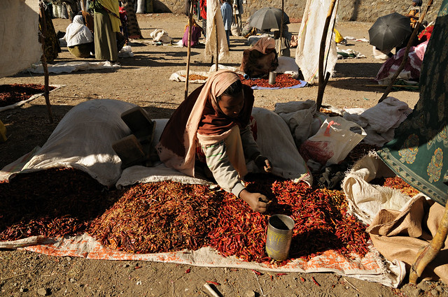 Woman selling red chili peppers at Bati market - Amhara Region - Ethiopia