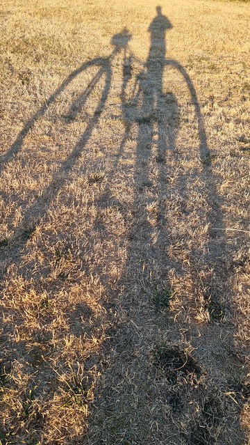 Bike shadow on a Kinloch evening