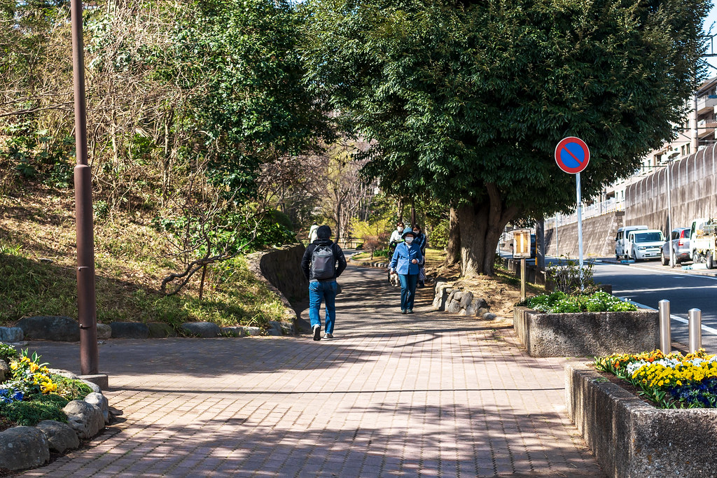 Fujigaoka Park Entrance : 藤が丘公園入口