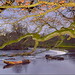 			<p><a href="https://www.flickr.com/people/28411479@N08/">Cassini2008</a> posted a photo:</p>
	
<p><a href="https://www.flickr.com/photos/28411479@N08/51823938017/" title="Evening walk around Llangollen Wales 16th January 2022 (Horseshoe falls,River Dee))"><img src="https://live.staticflickr.com/65535/51823938017_73863e764e_m.jpg" width="240" height="136" alt="Evening walk around Llangollen Wales 16th January 2022 (Horseshoe falls,River Dee))" /></a></p>

<p>Nice evening walk around Llangollen (The Horseshoe falls on the River Dee)</p>