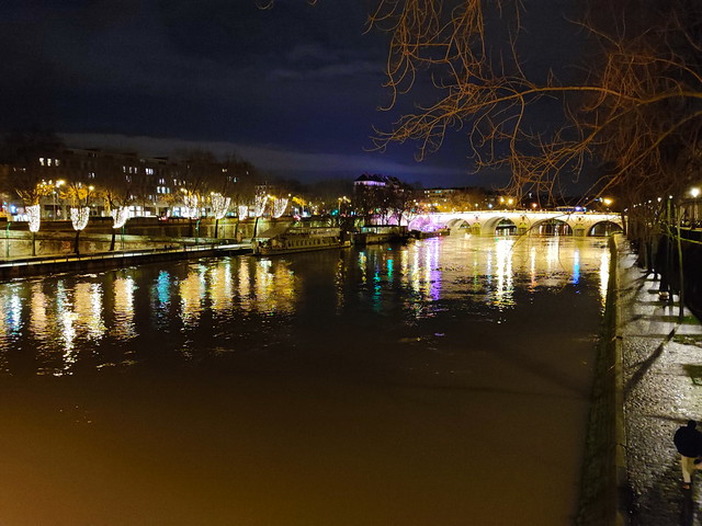125 - Paris Janvier 2022 - la Seine au Pont Louis-Philippe