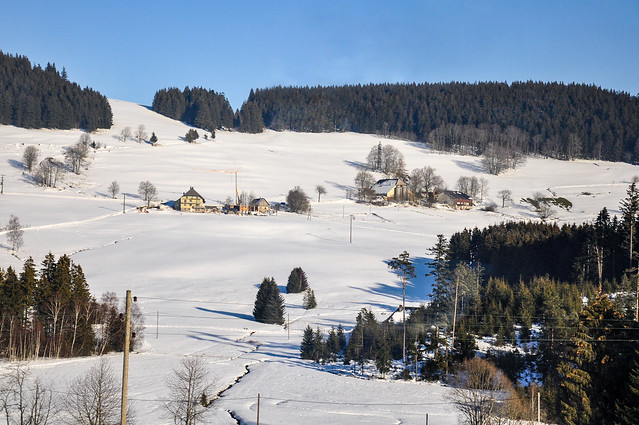 Paysage hivernal de la Schwarzwald (Forêt-Noire)!