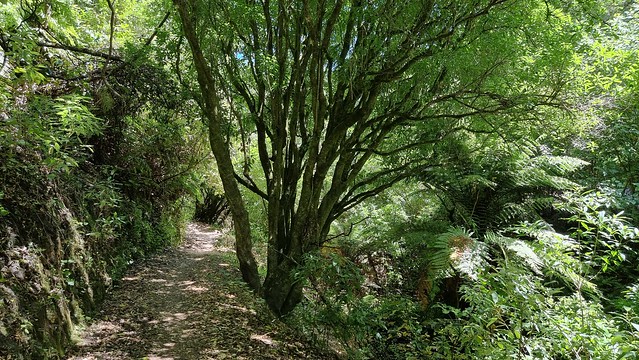 Orakau Trail