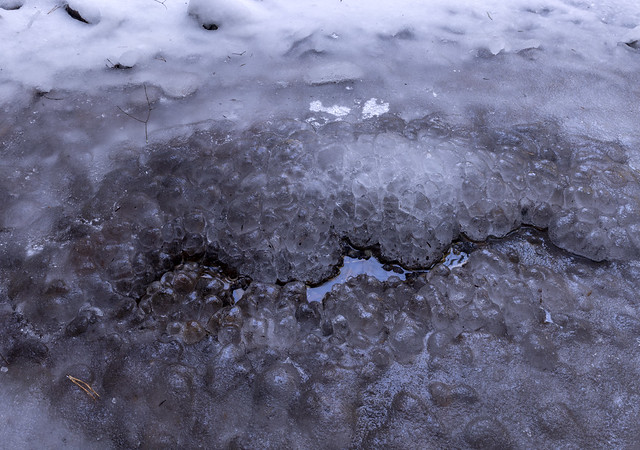 Frozen Puddle, Colditz Cove State Natural Area, Fentress County, Tennessee 2