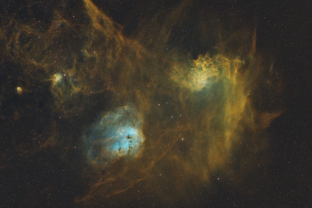 Flaming Star & Tadpole Nebula