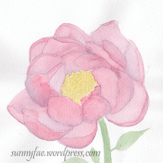 unfinished peony watercolour