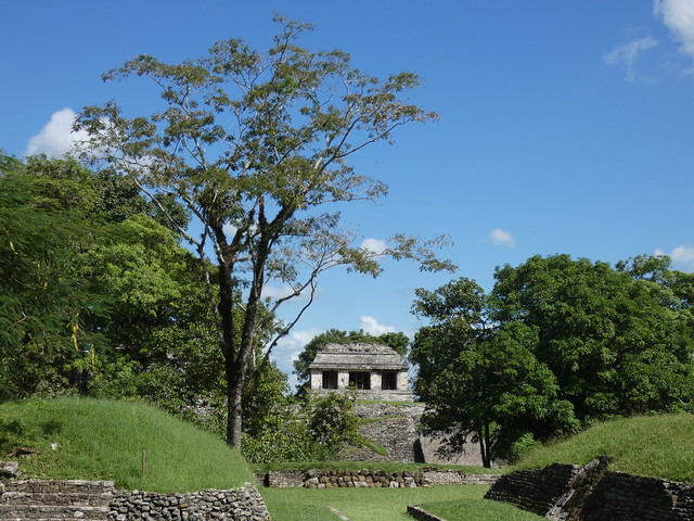 Palenque (Chiapas, México)