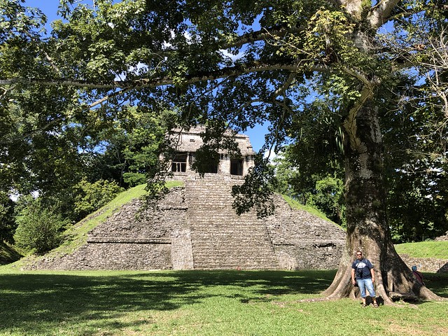 Sele en Palenque (Chiapas, México)