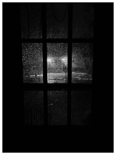 snapseed backyard window wet rain iphone12promax blackwhite bw