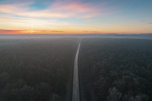 road forest poland landscape sunrise aerial