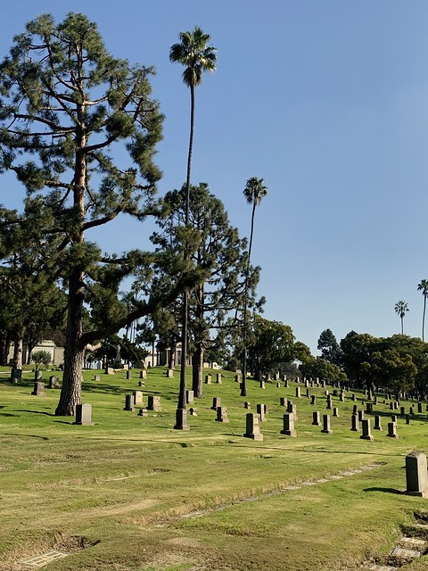Inglewood cemetery