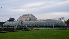 A grey day, a setting sun and the Palm House