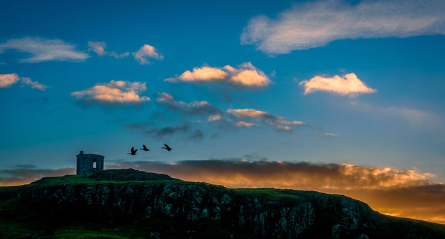 Geese fly-by Kenmuire Hill Temple, Sunrise,Lochwinnoch, Renfrewshire, Scotland, UK