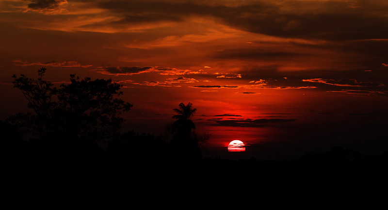 * Sunset in Llanos_Ascanio_Llanos Colombia_DZ3A4096
