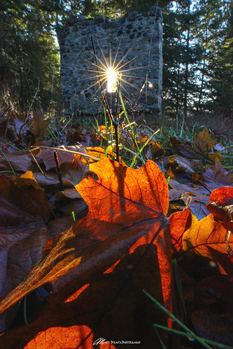 leaves fall sun sinburst sunburst history san juan washington national historical sunshine wormseye