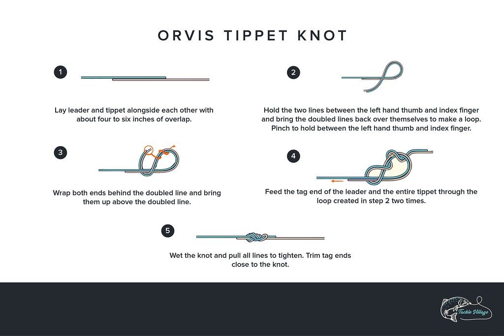 Orvis Tippet Knot: How-To Graphic, How to tie this effectiv…