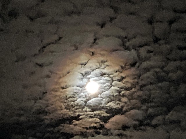 Moon and the clouds