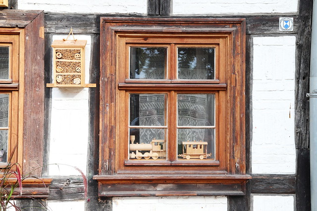 Fenster Fachwerkhaus in Quedlinburg 11.9.2021 2756