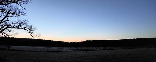 Daybreak Gosford Forest Park by davidsbingham, at the deer park areadawn sunrise daybreak silhouette northernireland gosford forest park tree sky d