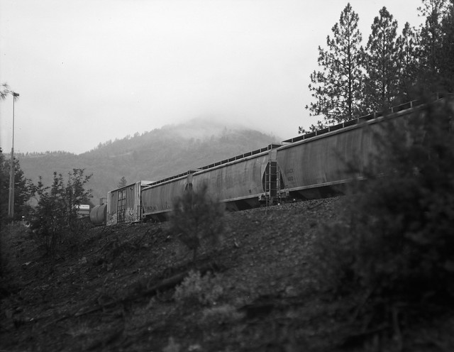 misty woods and trains on 4x5 film