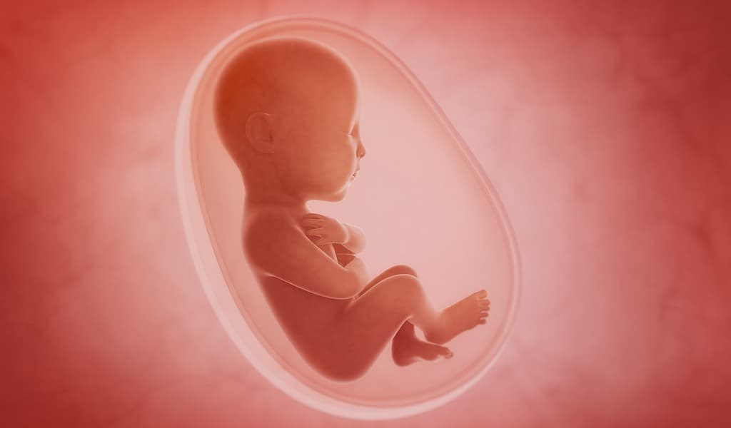 Le SARS-CoV-2 peut provoquer une inflammation du fœtus
