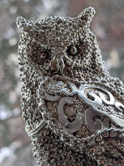 Silvery owl