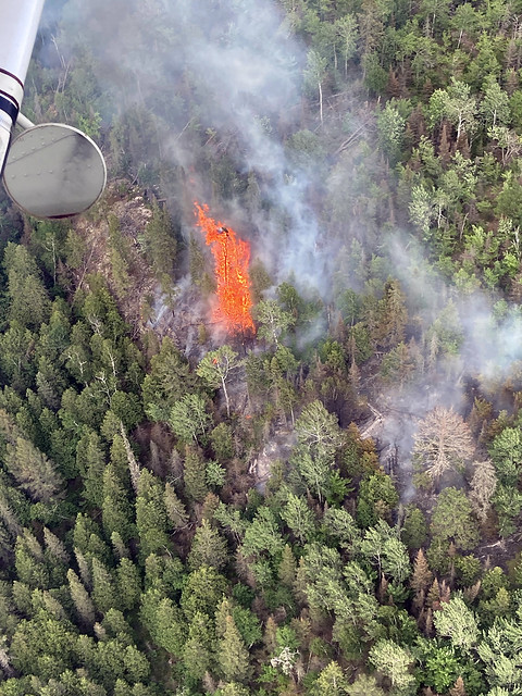 Aerial view of a forest fire