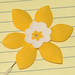 Cancer Society Daffodil