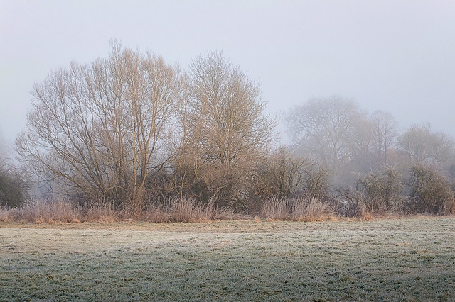 Misty frosty early morning