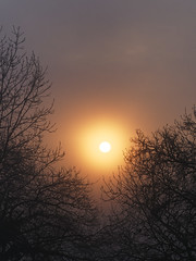 Lever de Soleil dans la brume_DxO