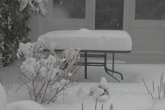 Snowing on Snow Covered Table